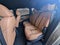 2025 Mazda Mazda CX-70 3.3 Turbo S Premium Plus Package